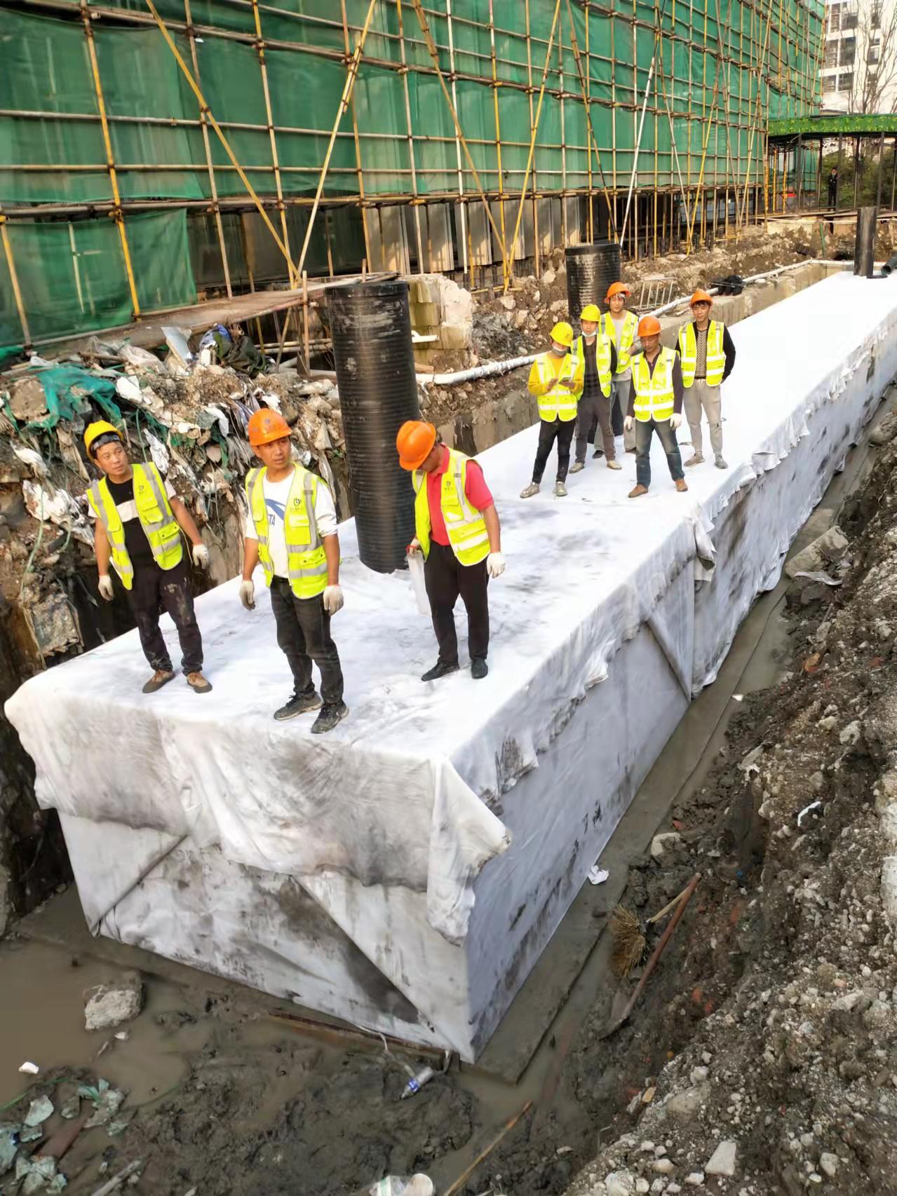 1648688590701788.jpg 8.jpg