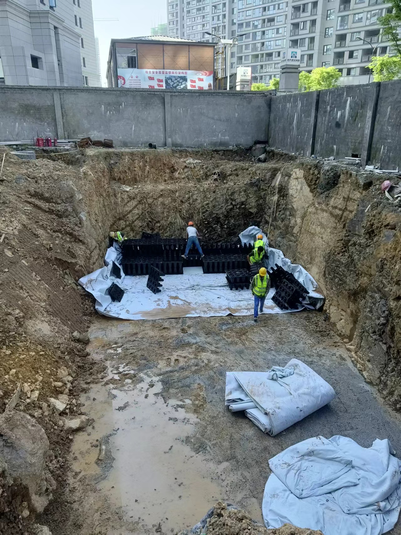 1649731257129780.jpg 2.jpg