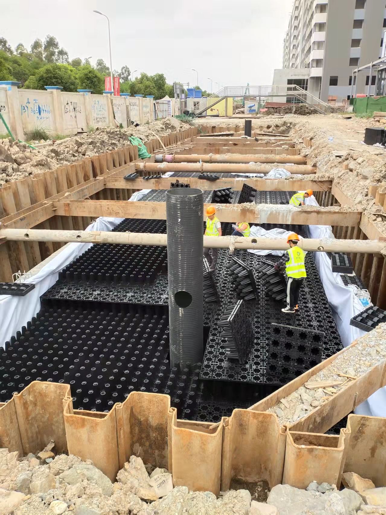 1653957654169780.jpg 2.jpg