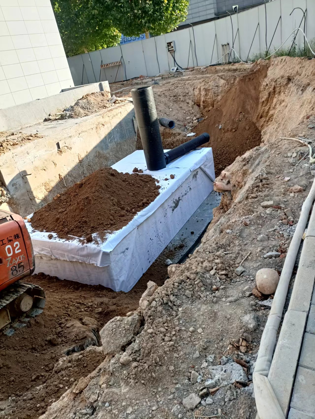 1663829087470389.jpg 5.jpg